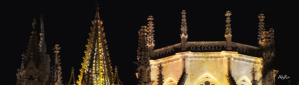 Catedral de León