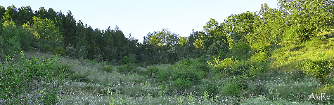 Exterior, El Vallín de Lan