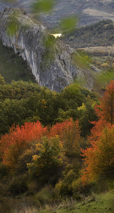 El Belén de Cerezales